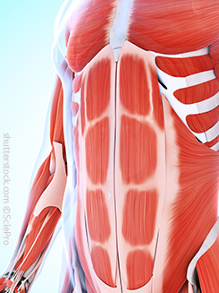 Anatomie Sixpack, Plastische Chirurgie Essen, Schönheitschirurgie Difine, Dr. Mustafa Narwan